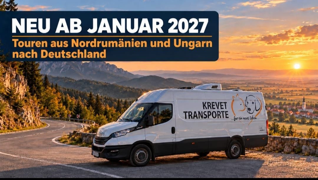 Krevet Transporte Fahrzeug bei Sonnenuntergang mit Hinweis auf neue Touren aus Nordrumänien und Ungarn